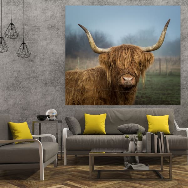 Lærredstryk Dyr Ko 80x80 cm