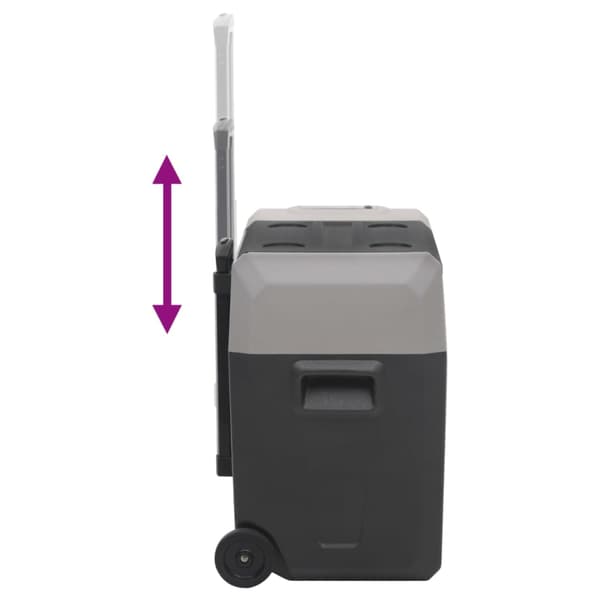 vidaXL Jääkaappi pyörillä virtalähteellä, musta ja harmaa, 30 l, PP