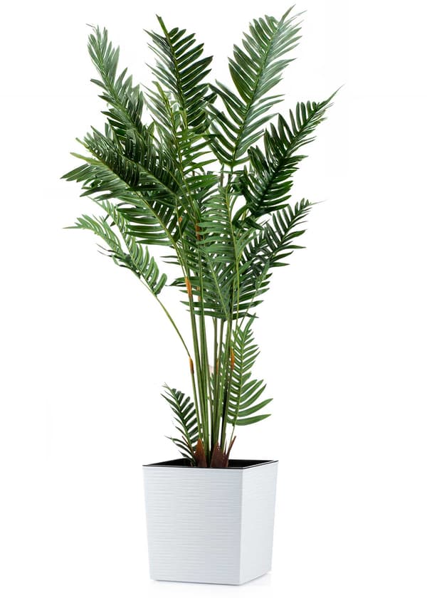 Flore Riflo blomkruka vit h30x30 cm