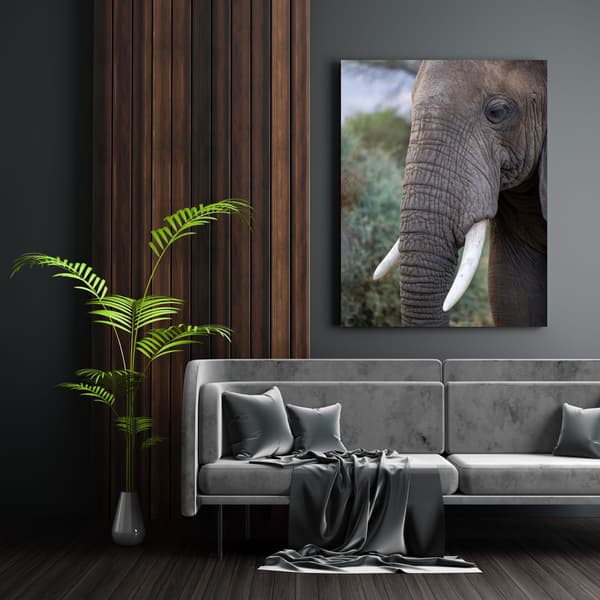 Lærredsbillede Dyr Elefantsnabel Stødtænder 40x60 cm