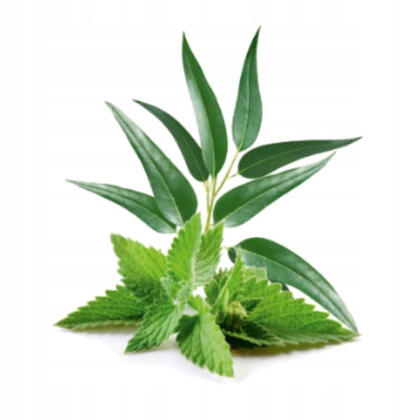 Superaromas Madaroma Mynte Eukalyptus 100 ml