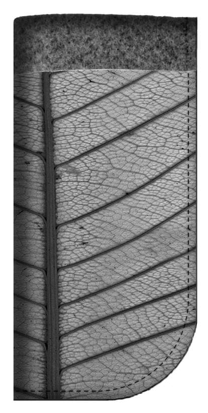 LEAF-lasikotelo