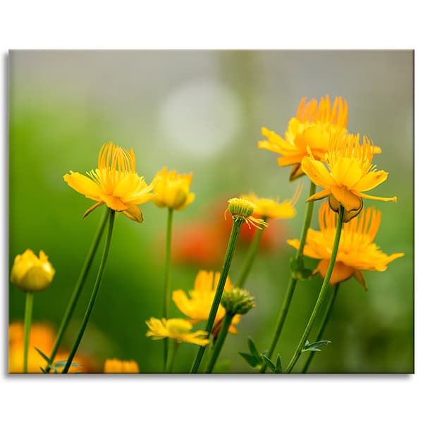 Lærredstryk Botanik Gule blomster 100x80 cm
