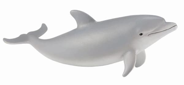Pullokuonodelfiininpoikanen