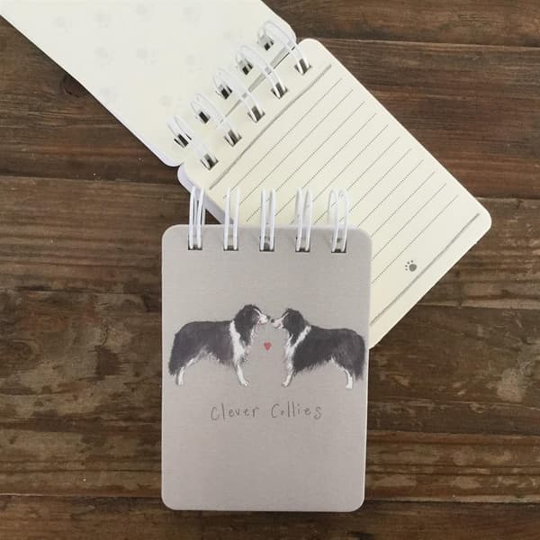 Kolonoter A7 SSN06 Border collie
