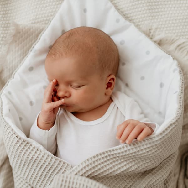 Baby Svøbslind Wafer Grå