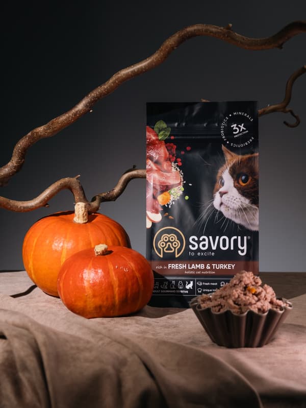 Savory Premium torrfoder för katter, vuxen, lamm och kalkon, sensitiv, 400 g