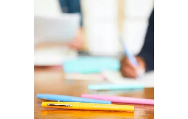 Paper Mate -tussit 12 kpl.