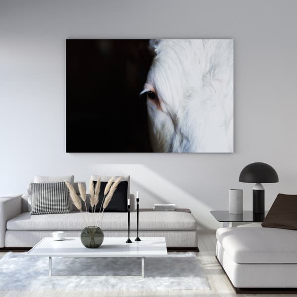 Lærredstryk Dyr Koøje 40x30 cm