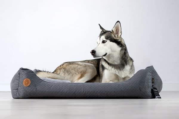 CEZAR soffa, grå, quiltad, M - 80 cm x 70 cm