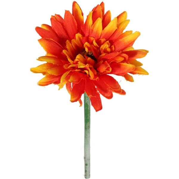 GERBERA ENKELTBLOMST ORANGE III