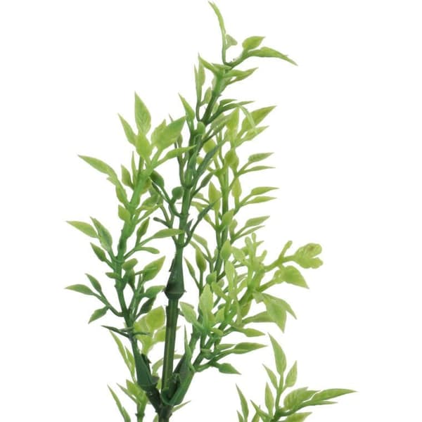 Timmjörn Spring 57 cm språngmatta