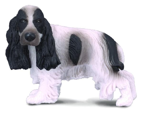 Engelsk Cocker Spaniel hund