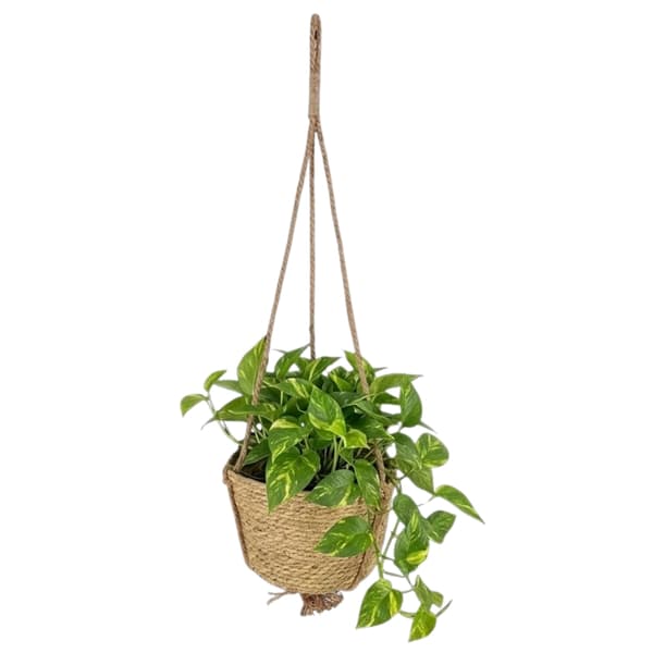 Hængende Boho Blomsterfod 20 cm