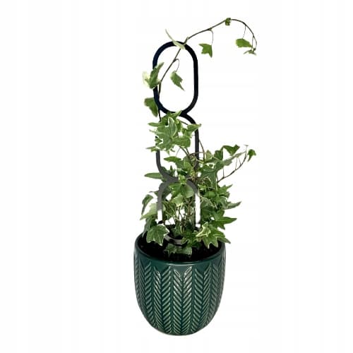 Stöd för klätterväxter Stöd för klätterblommor Pergolastege M 31 cm