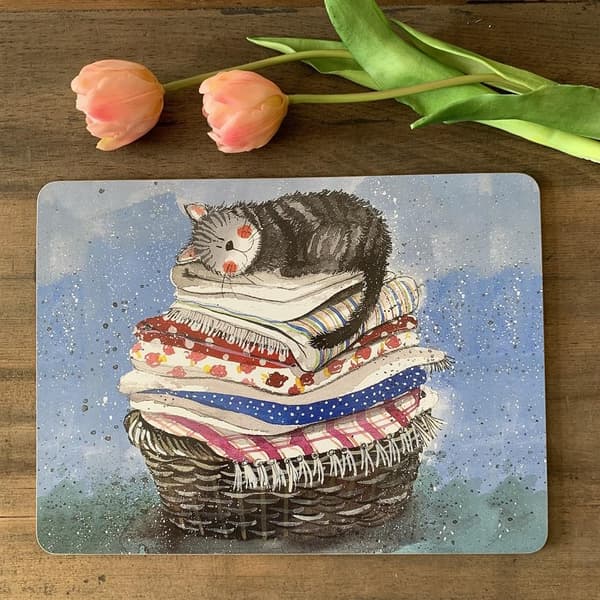 MT34 Kissa pyykkikorissa -tabletti
