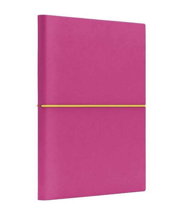 Notesbog B6 Fun S line pink/citron
