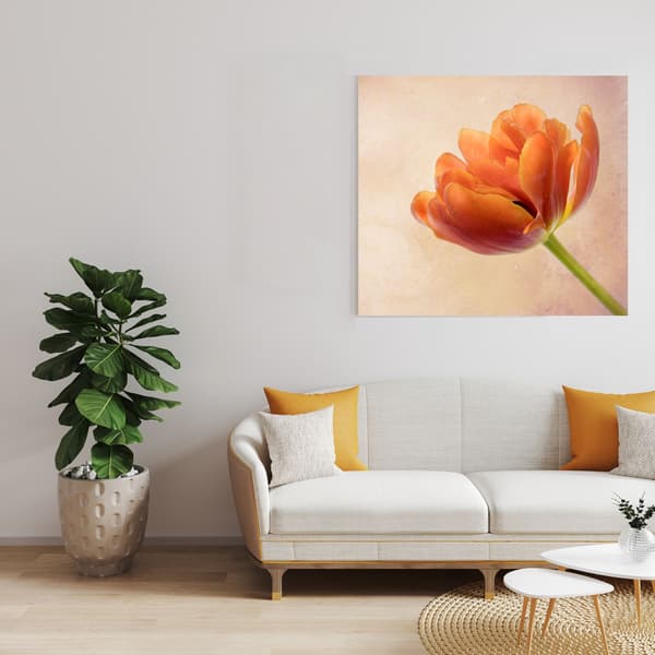 Canvastaulu Botany Tulip 80x80 cm