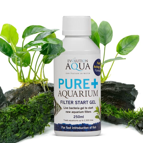 Evolution Aqua Pure+ Akvarium - bakterier i gel