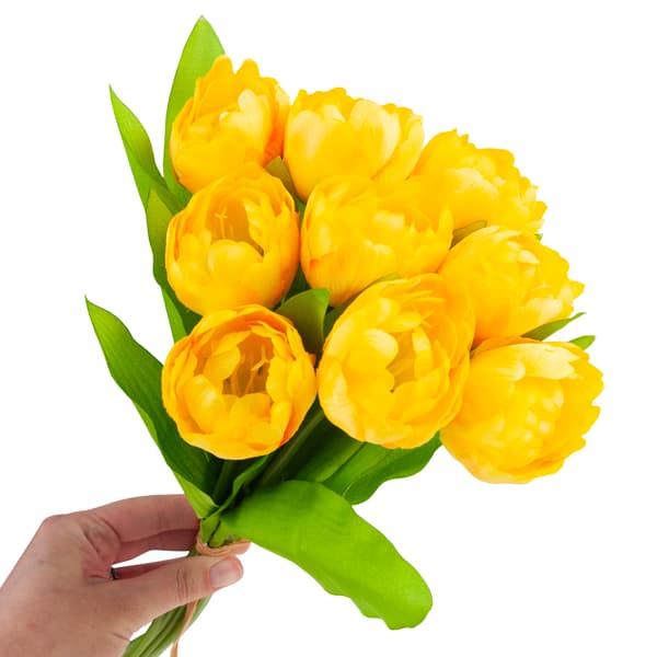 CV31227-3 TULPPAANIKIMPU X7