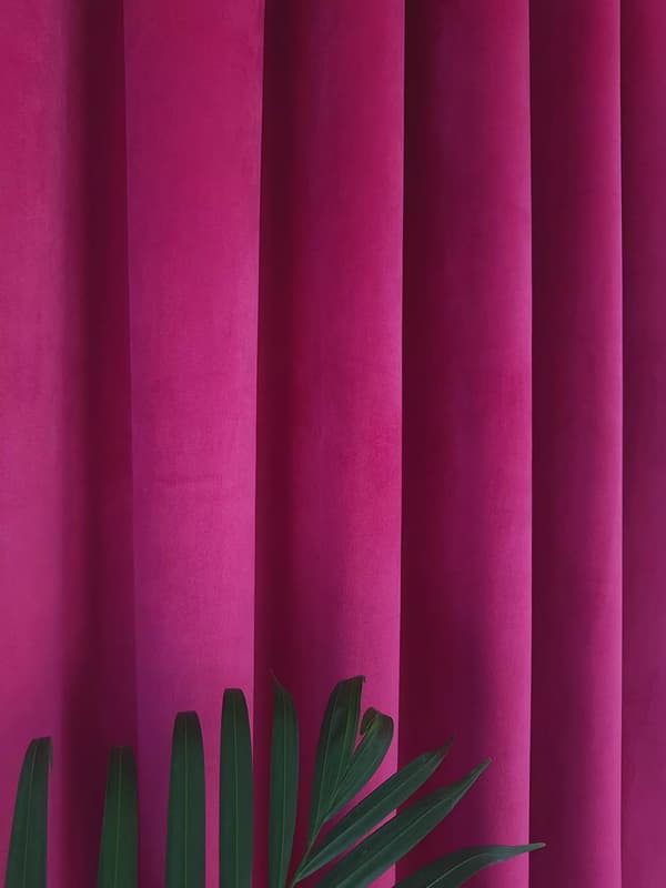 Samettiverho nauhalla - fuksia