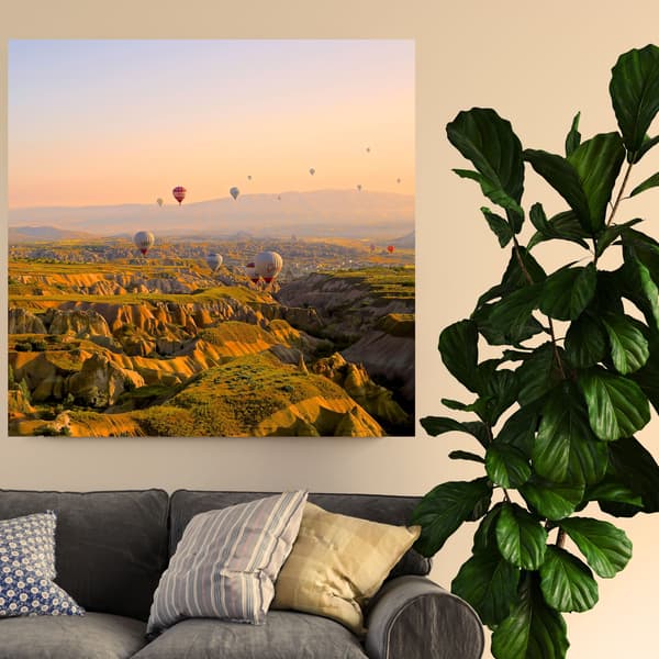 Canvastaulu Luonto Ilmapallot 60x60 cm