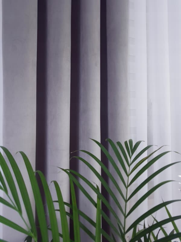 Samettiverho - vaaleanharmaa