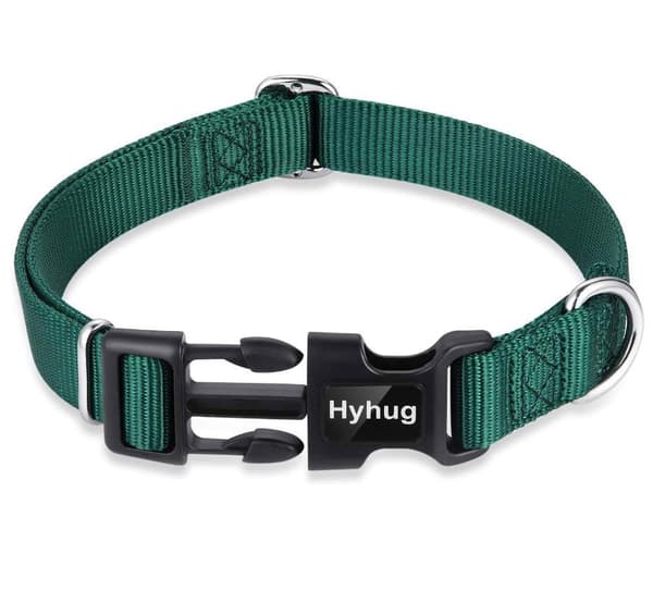 Halsband för små hundar, justerbart, mörkgrönt