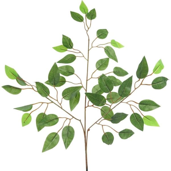 TRIPPEL BENJAMINBLADKVIST GRÖN 60 CM
