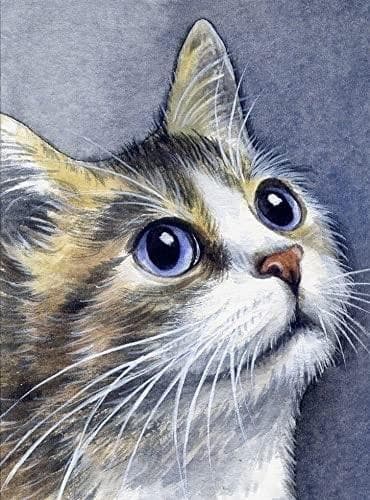 Maleri efter tal - 30x40cm Kat