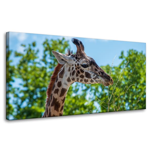 Lærredstryk Dyr Giraf 80x40 cm