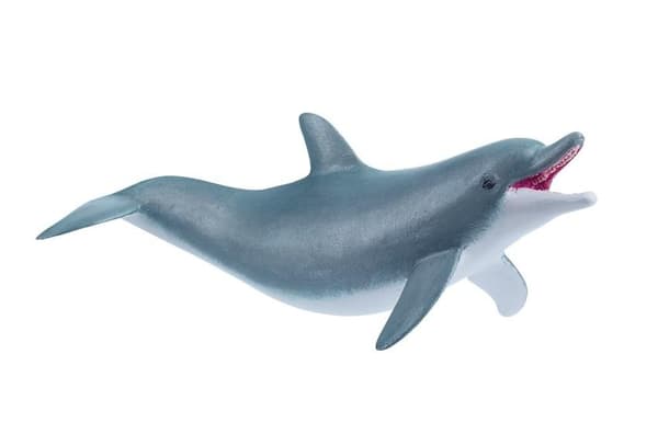 Delfiini leikkii