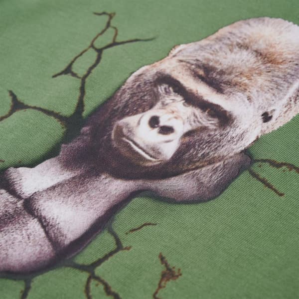 Børne langærmet T-shirt, lys khaki, 104