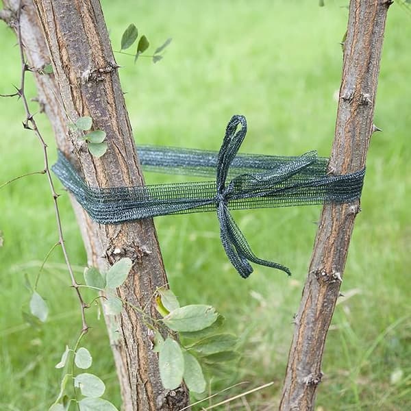 Net til opbinding af klatreplanter, støtte 50m