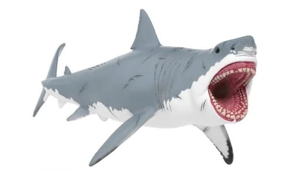 Megalodoni