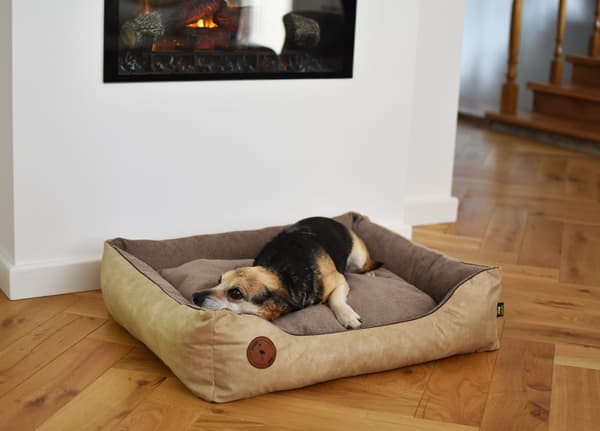 CEZAR sofa, sand, L - 95cm x 80 cm