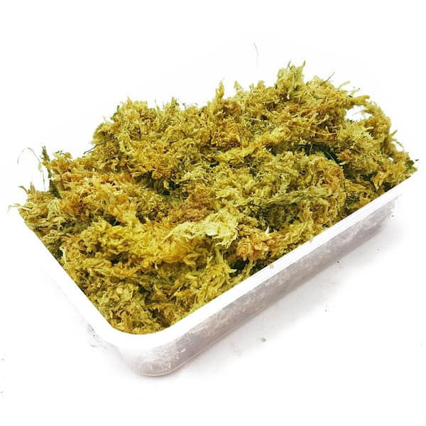 Repti-Zoo Chiles Sphagnummossa - 4,5 l