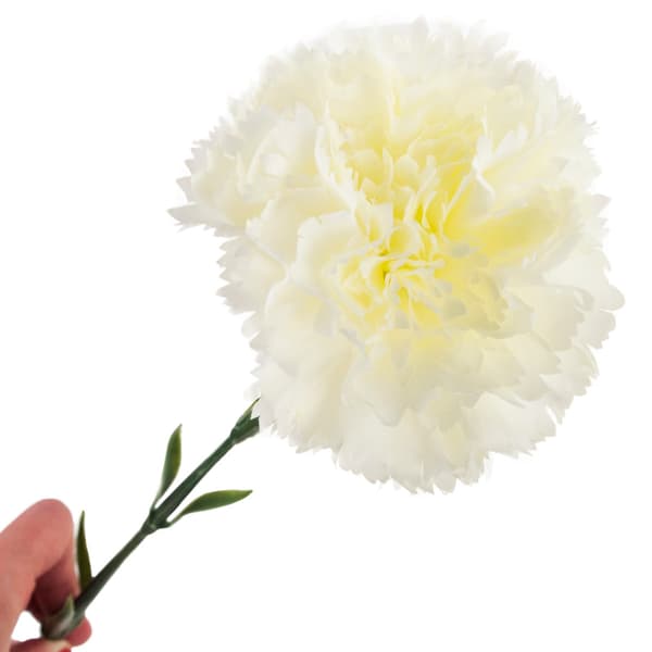 CV22527-1 NÄLIKA ENBLOMMIG VIT VACKER