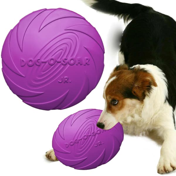 Pet Nova legetøj - gummifrisbee-skive lilla 22 cm