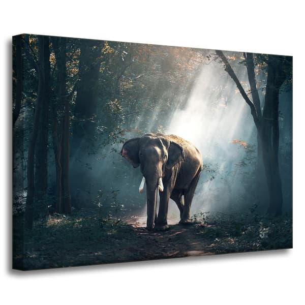 Lærredstryk Dyr Elefant 70x50 cm