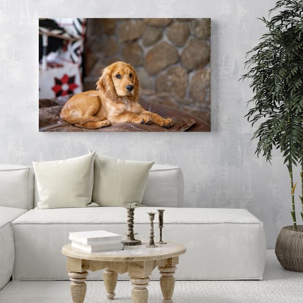 Canvastaulu Eläimet Cocker Dog 80x40 cm