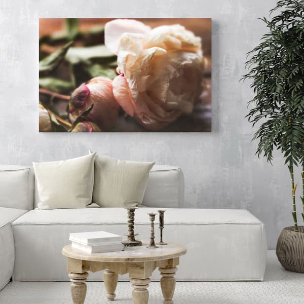 Canvastavla Botanik Blommor Pion 100x80 cm