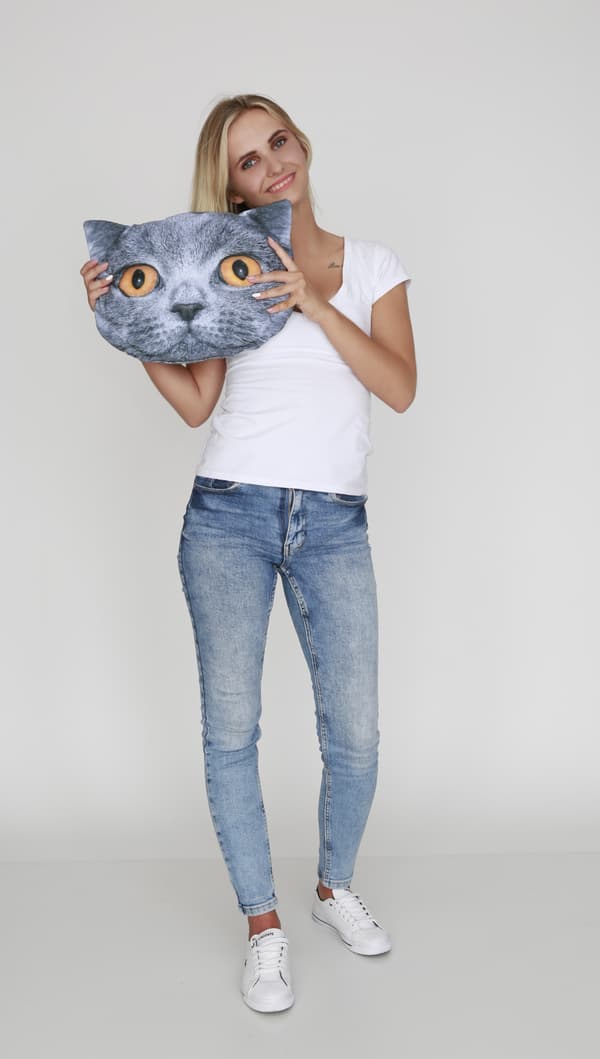 Kattkudde M - Leon