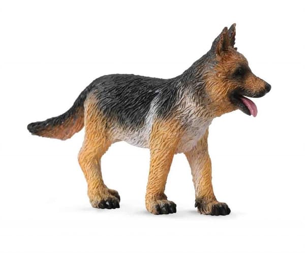 Alsacisk hyrdehund hvalp