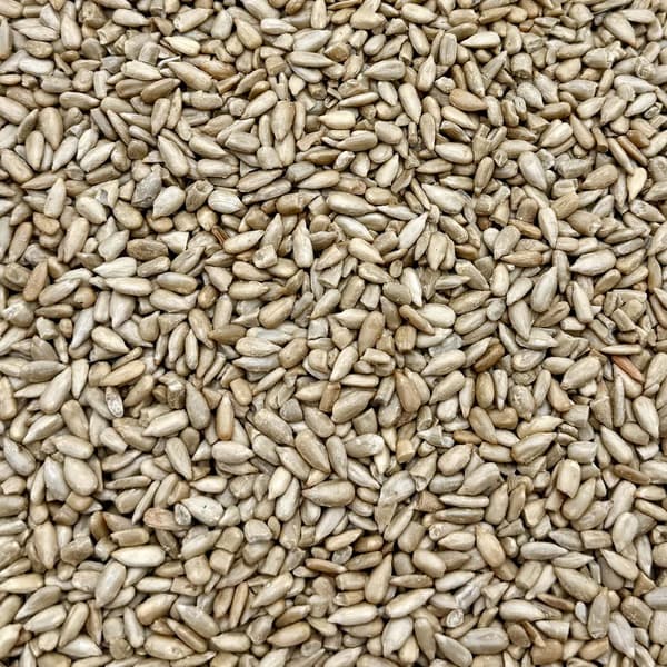 Saltede solsikkekerner 500 g