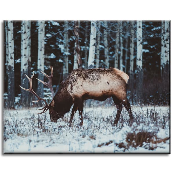 Lærredstryk Dyr Canadisk hjort 50x40