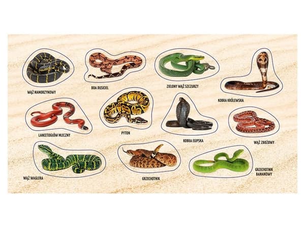 Vipers and Snakes 2.0 -tarrat