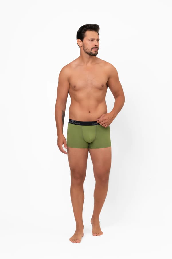Herre boxershorts Aleksander L