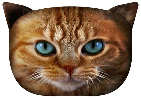 Kattkudde M - Benek