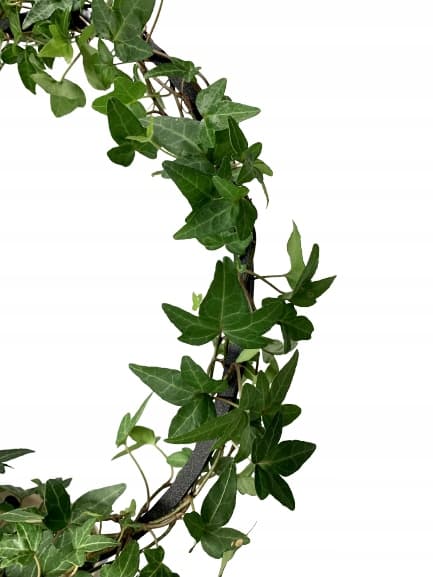 Stöd för klätterväxter Stöd för klätterblommor Pergolastege L 34 cm
